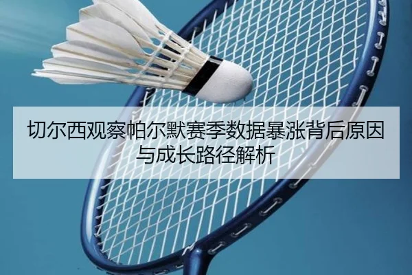 切尔西观察帕尔默赛季数据暴涨背后原因与成长路径解析